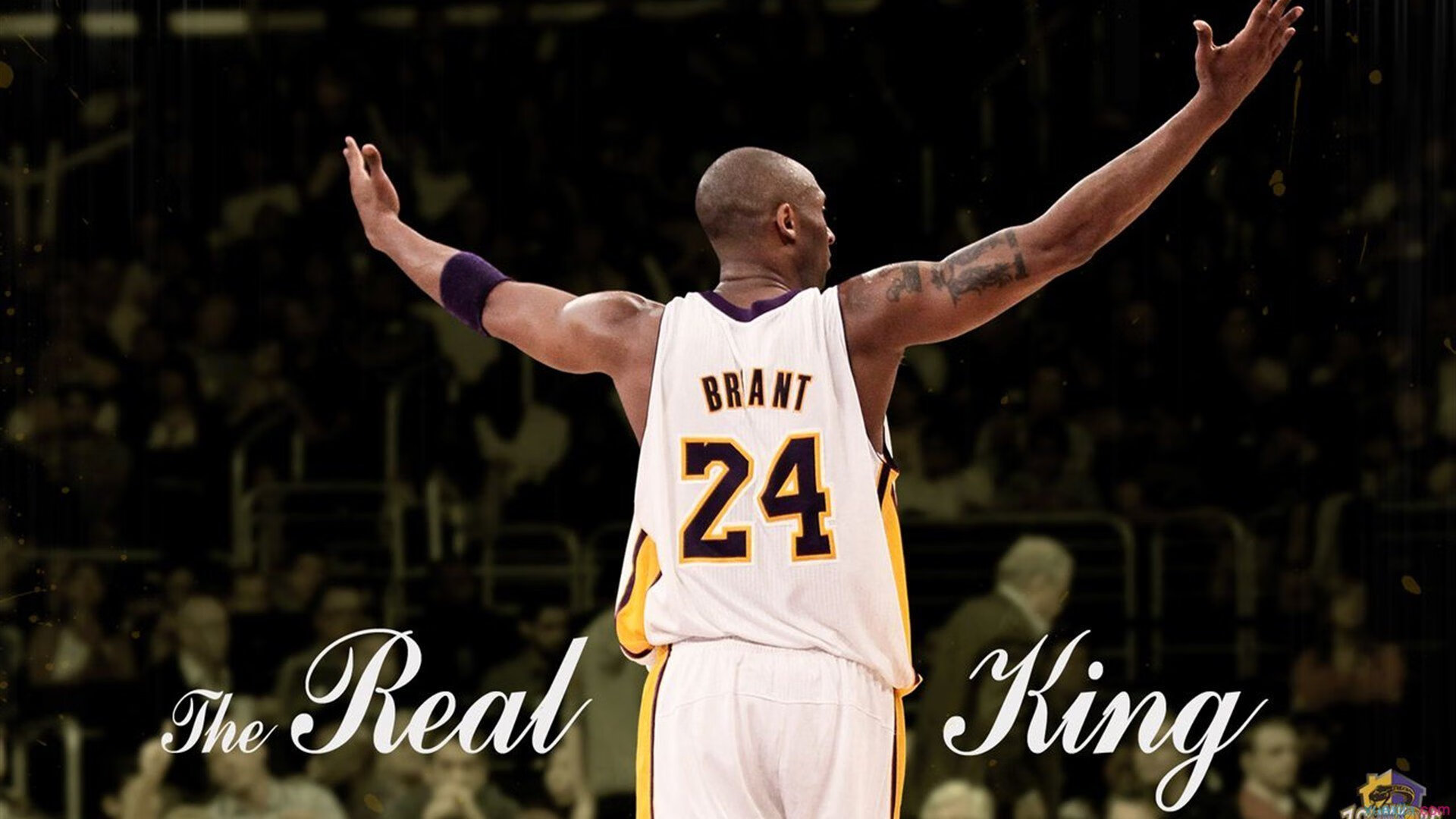 教科书般的胜利，戈麦斯如何用智慧与优雅轻取玻利维亚